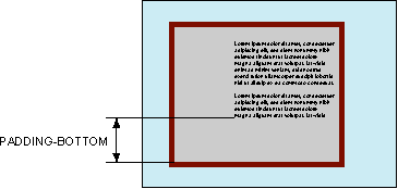 ���. 1. ���� ����� �� ������