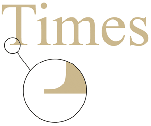 ���. 2. ����� Times